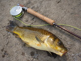 200710070007.JPG