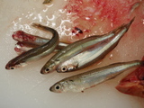 200710070033.JPG