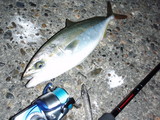 200710080002.JPG
