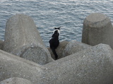 200710080003.JPG