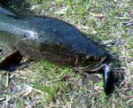 200505021446000.jpg