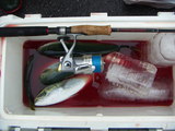 PICT0050.JPG