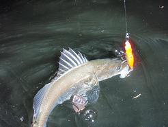 090313_Trip85.JPG