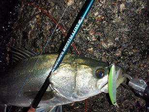 091031_sasuke105.JPG
