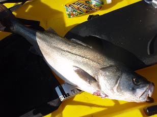 091204_kayak.JPG