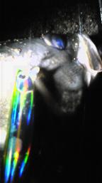 100224_213447.jpg