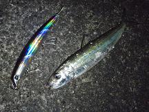 20081203_12_urumeiwashi.JPG