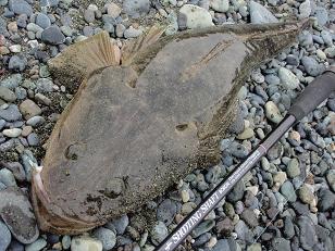 20090524__Magochi-1.JPG