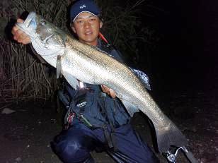 20090902_10_sagamigawa88.JPG