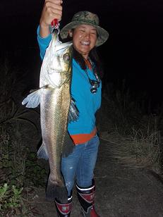 20090911_05_Seabass76cm.JPG