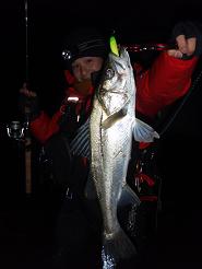 20100307_03_wander.JPG