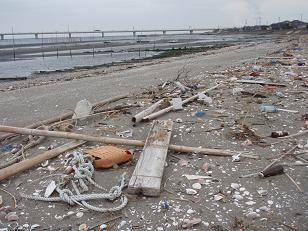 20100328_20_cleanup-2.JPG