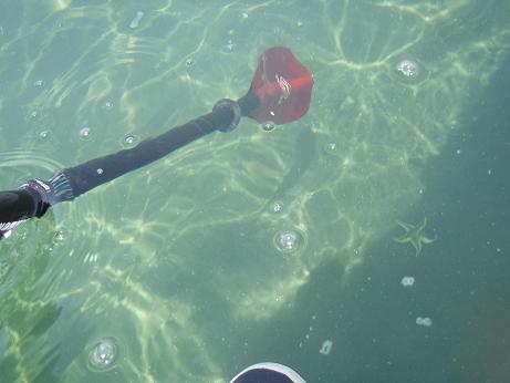 20100418_03_water.JPG