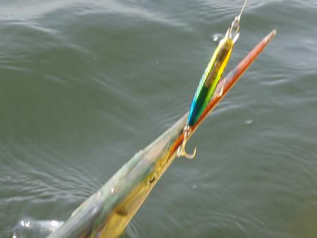20100509_03_sanbanse.JPG
