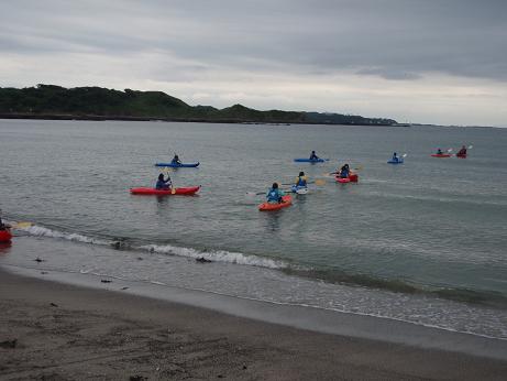 20100529_43_ahiru.JPG