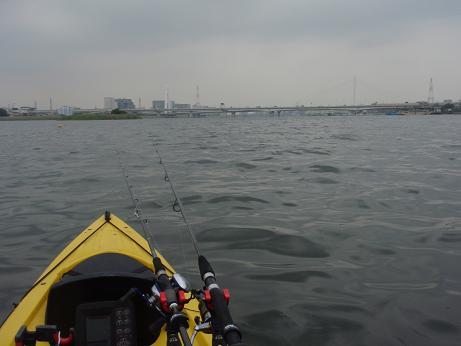 20100605_06_tama-1.JPG