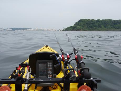 20100618_15_Sarushima.JPG