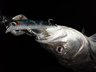 2010firstfish.JPG