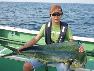 Dolphin_126cm.JPG