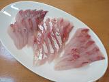 Kanpachi_080824-2.JPG