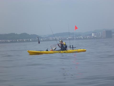 P1000165_tks.JPG