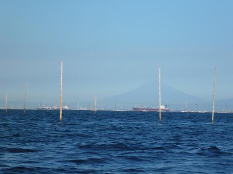 P1000201_banzu fuji.JPG