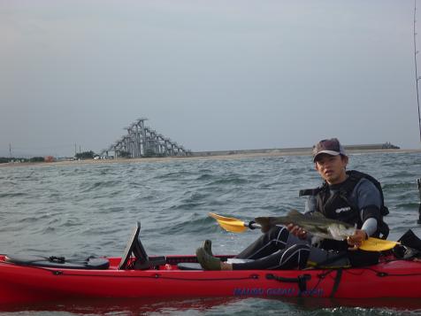 P1000635_ft-2.JPG