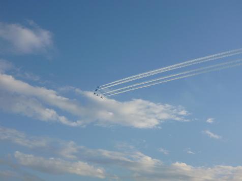 P1000849_blueimpalse.JPG