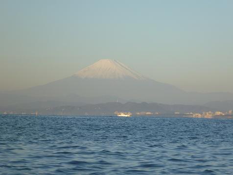 P1000899_shyounan.JPG