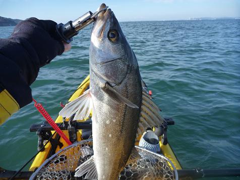 P1010068_01_kayak.JPG