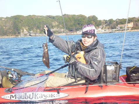 P1010288_ika-2.JPG