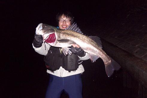 P1020118_Night NIMO.JPG