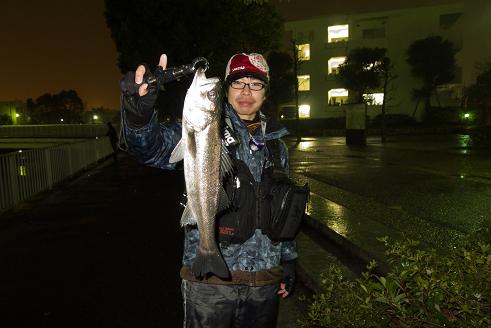 P1020136_Y_Nimo.JPG