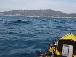 P1031133_seabass01.JPG