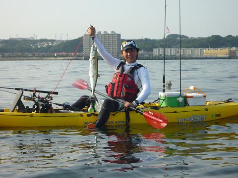P1080538_sawara-1.JPG