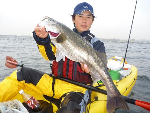 P1090001_debu68.JPG