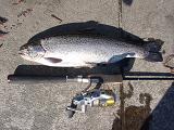 Rainbow_080224.JPG