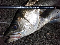 SHOOTING SHAFT_090205.JPG