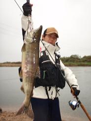 Sake_4.0kg_Ukedogawa.JPG