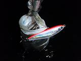 Seabass_NBK_080121_HoneyTrap.JPG