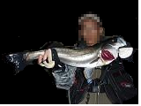 Seabass_Taku.bmp