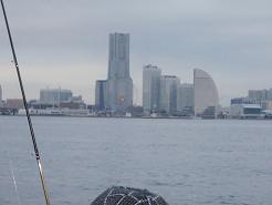 Yokohama Seabass.JPG