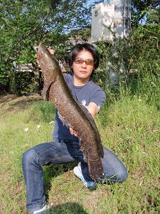 raigyo090428.JPG