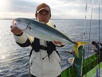 warasa_60cm.JPG