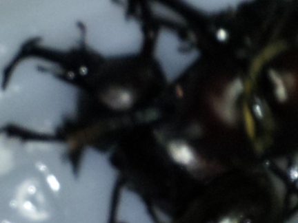 2012-07-14 01.47.13_numa-0.jpg