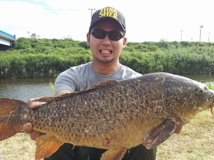 2012-08-15 15.38_11_carp01.jpg