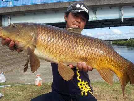 2012-08-15 15.45_12_carp02.jpg