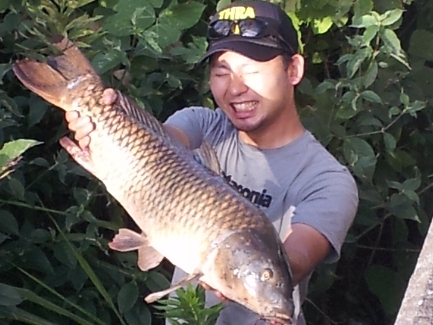 2012-08-15 17.18_13_carp03.jpg