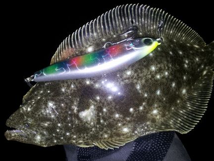 2012-12-01 19.26.18_soge.jpg