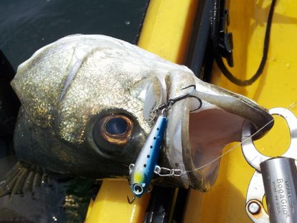 2013-05-26 12.03_04.jpg